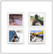 Photo Stories