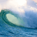 Debating the Tsunami Debating the Tsunami