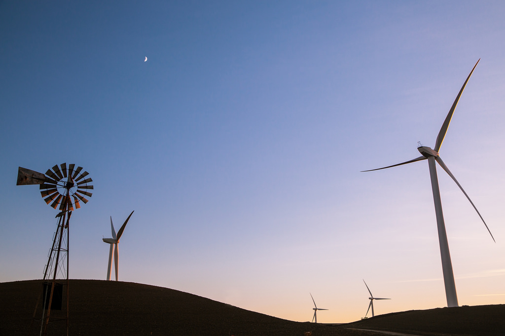 windmills
